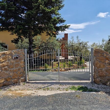 Appartement Il Panorama à Montescudaio Extérieur photo