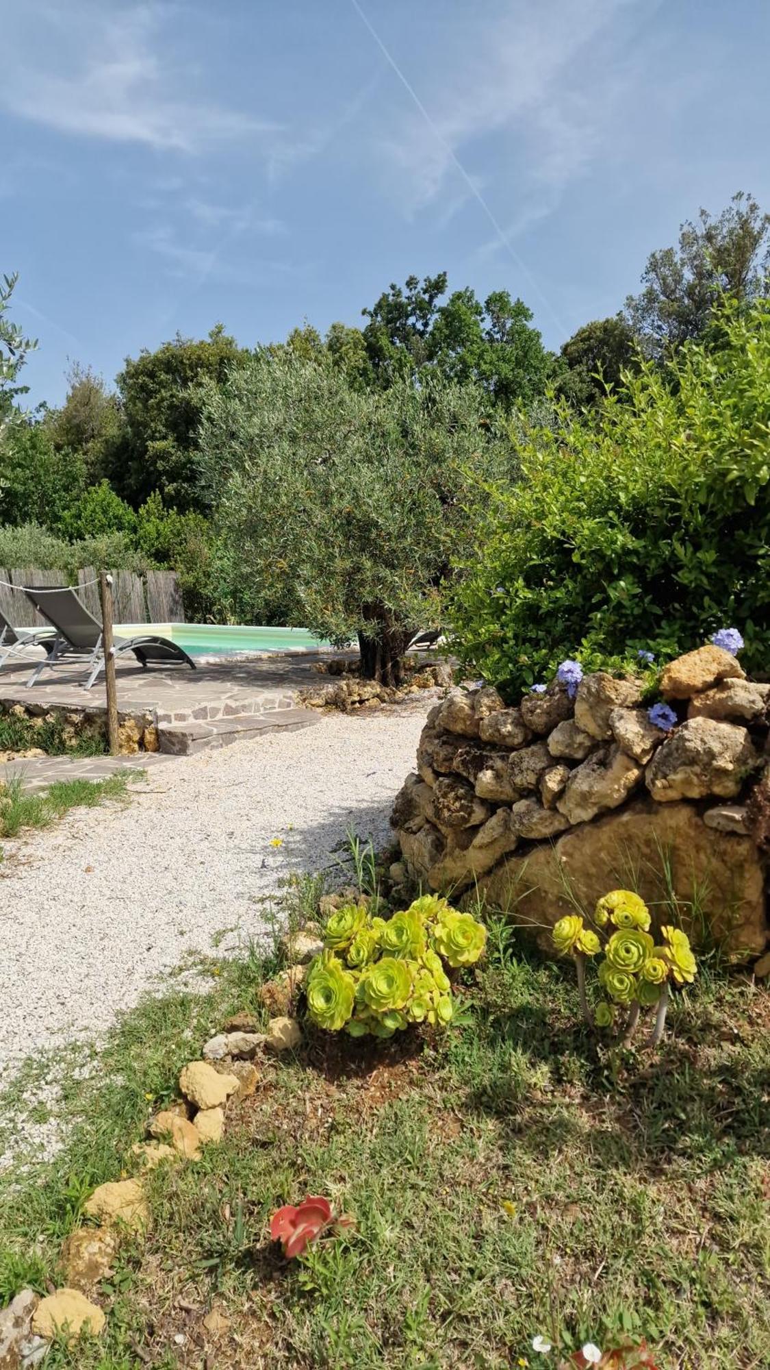 Appartement Il Panorama à Montescudaio Extérieur photo